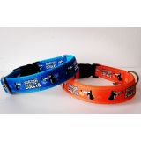 obojok ,,Border collie"