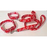 Vôdzka ,,RED FOLK "